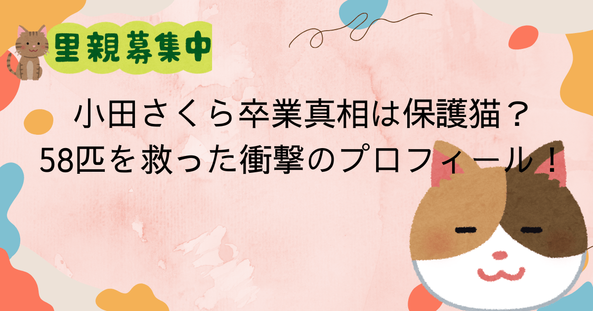小田さくら卒業・真相は保護猫？58匹を救った衝撃のプロフィール！今後の活動は？